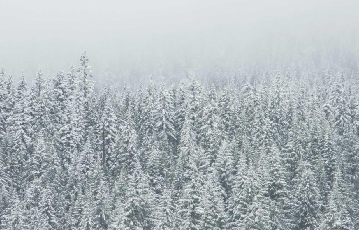 百事娱乐,注册|高陵财税代理注册