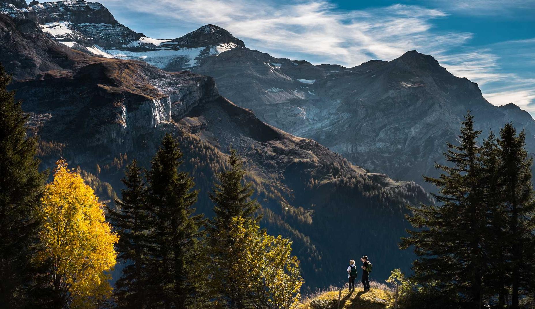 在线DDOS攻击平台|大富翁游戏详情下载教程app