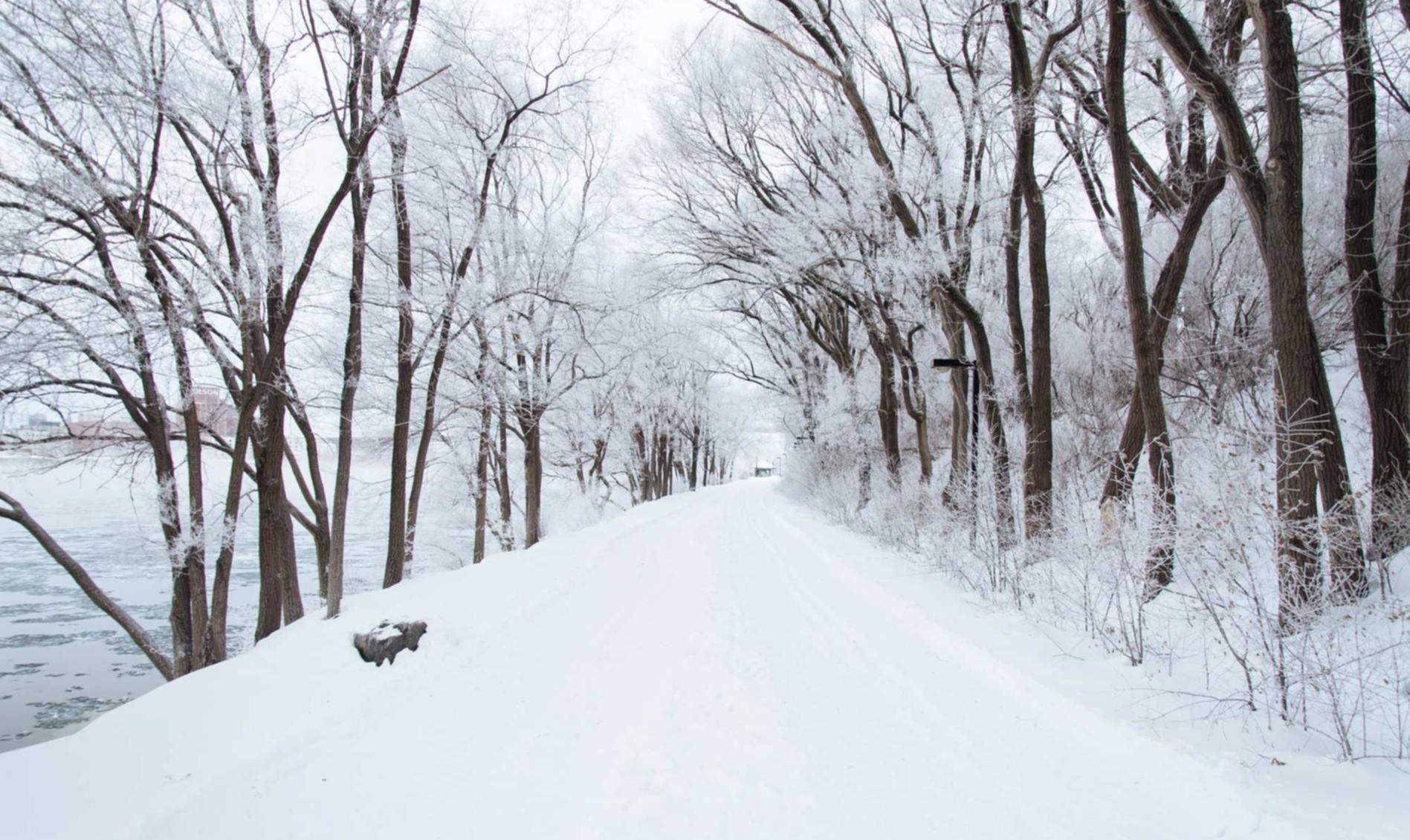永无止境:屯溪代理注册