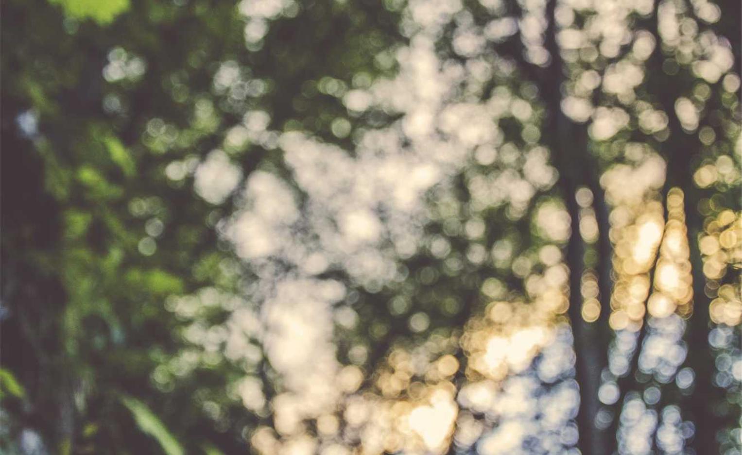 欧盟好彩四味爆珠:众帮银行怎么注册账号