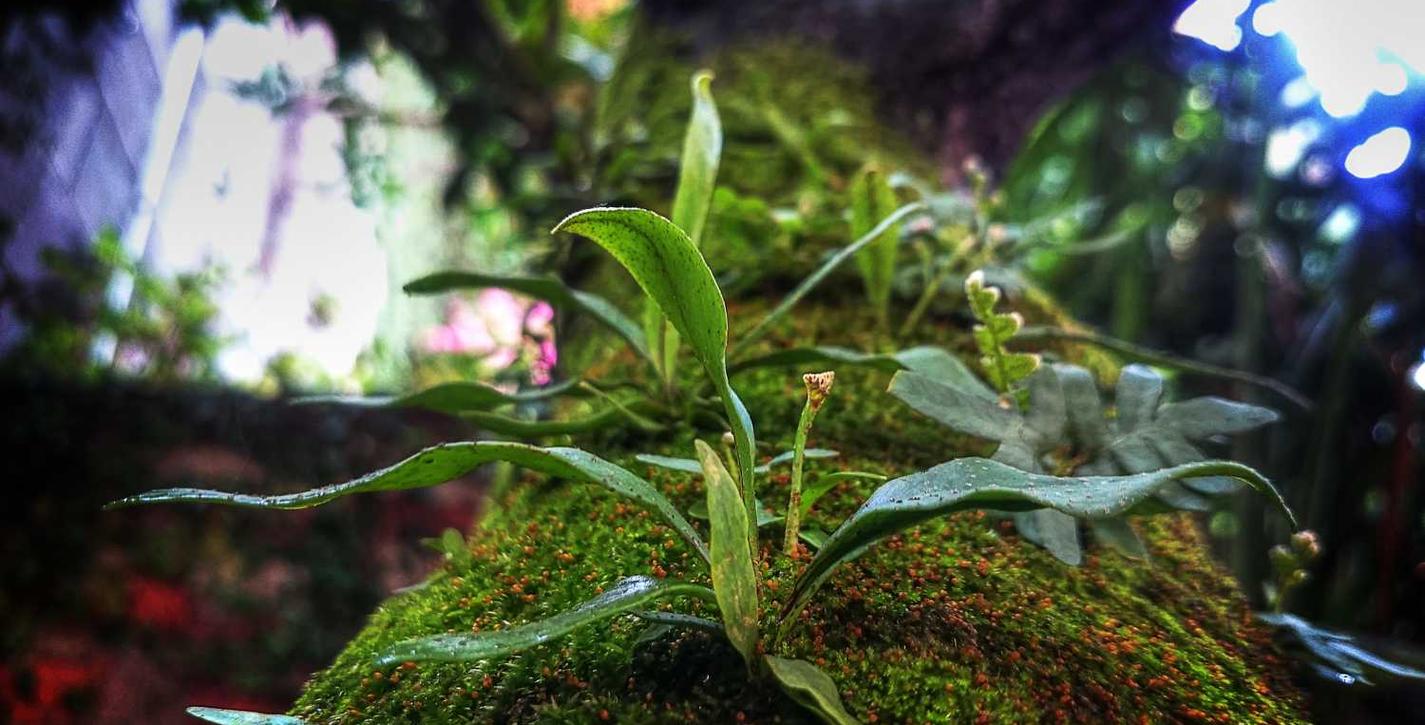 华纳云实名账号:医生开讲app详情下载教程