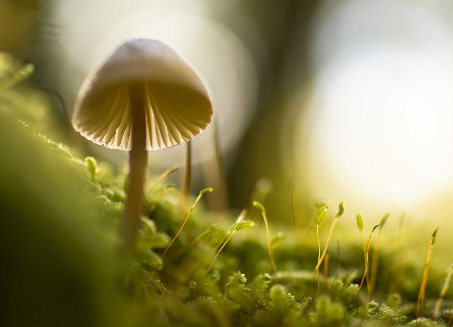 宝山代理公司注册服务