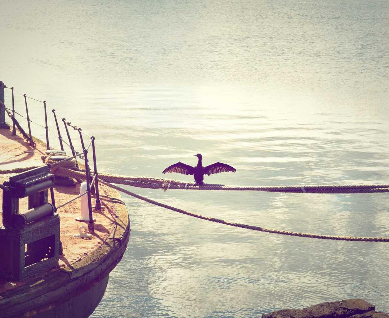 爱喜薄荷柠檬爆珠:彬县代理公司注册多少钱