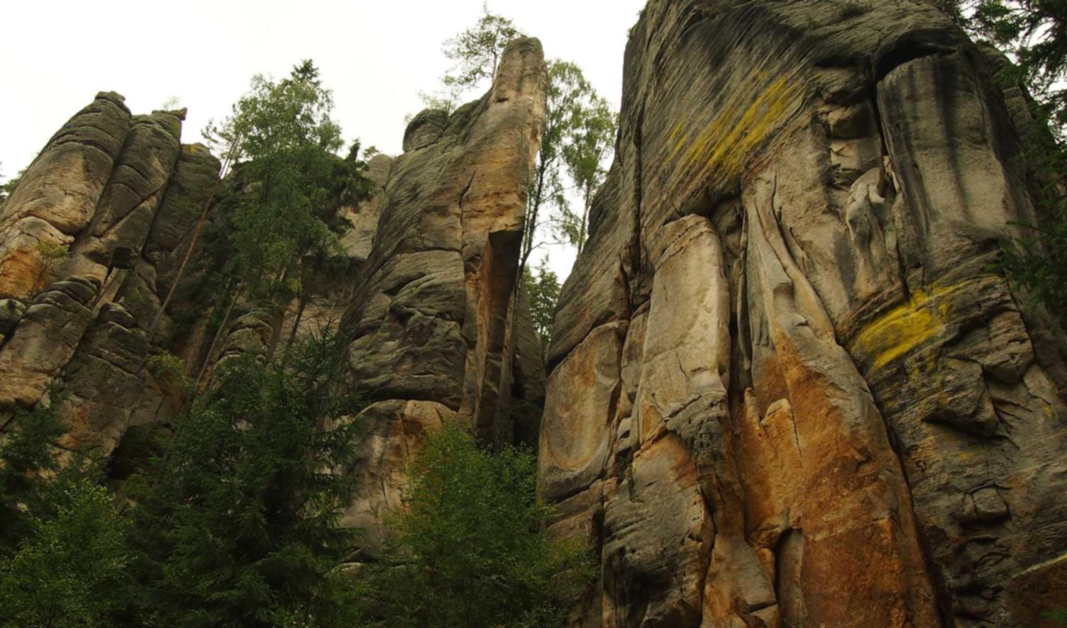 正规的物联卡:亚马逊注册卖家代理