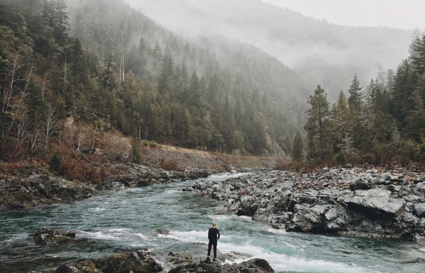 人性缺陷是技术支持流行的根源吗