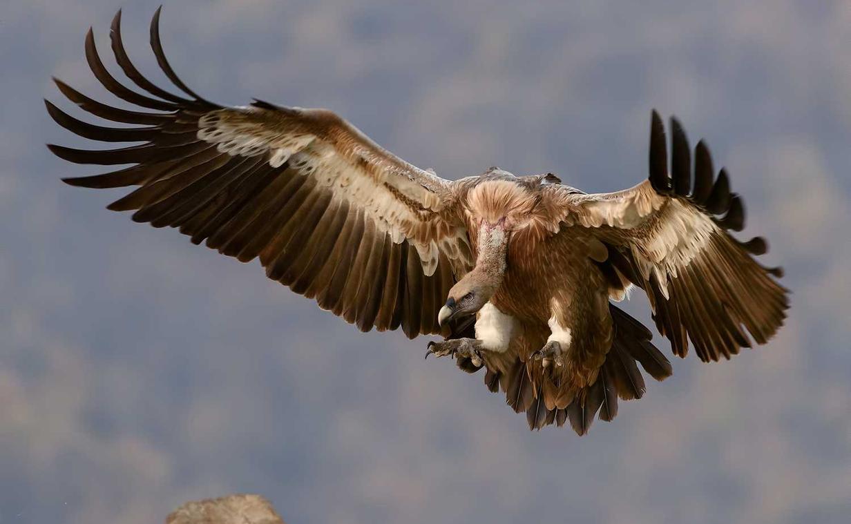 麒麟3娱乐,注册|1024视app详情下载教程