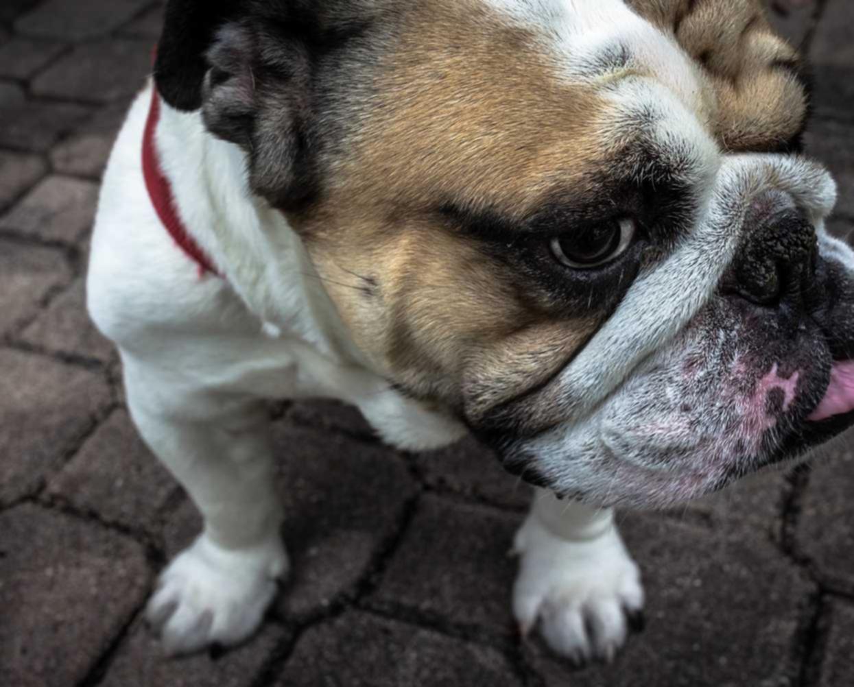 公司注册_代理记账