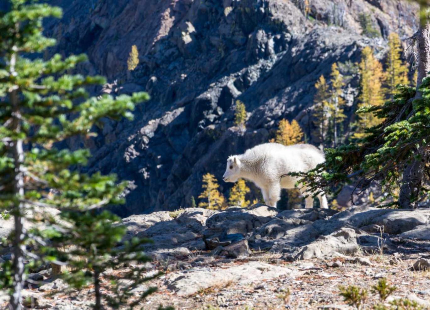 技术支持辅助的行为严重威胁玩家的升级和竞技体验