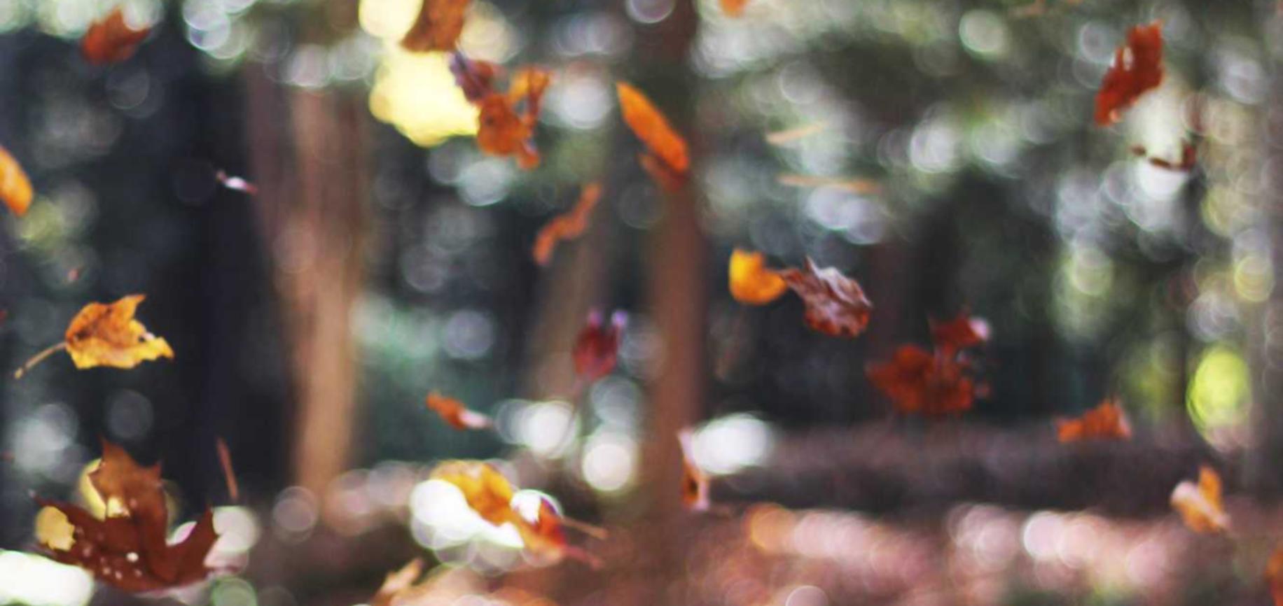 闲鱼实名账号:越秀外资公司注册代理