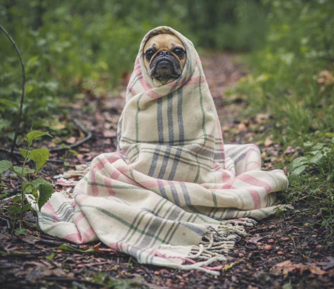 聚名实名账号:游戏代理平台赚钱吗安全吗