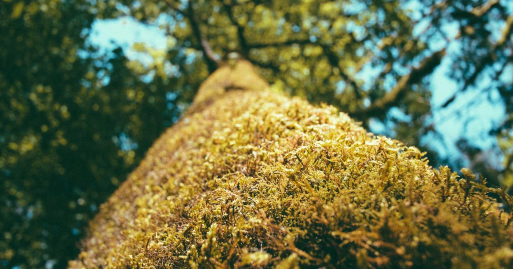 新宝娱乐,注册|构建企业营销的全新方式