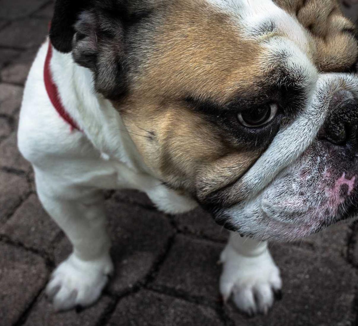 荣耀2娱乐,注册|明星空间app详情下载教程