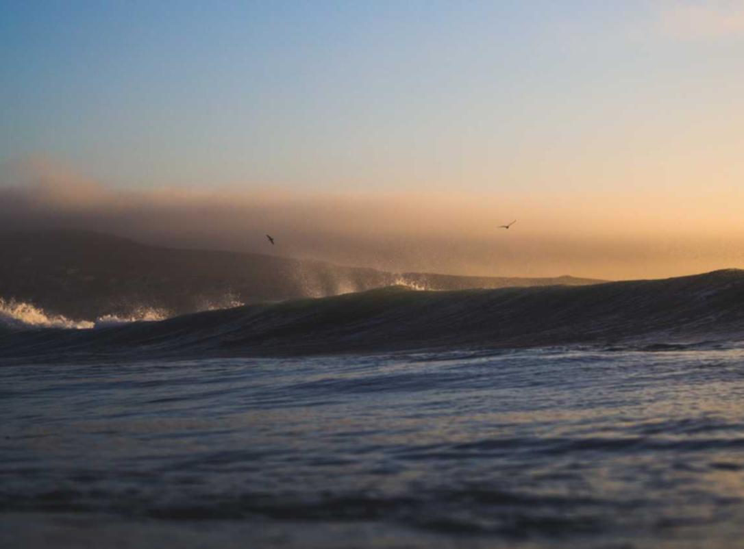 熊猫ip实名账号:公司注册成都代理乐至