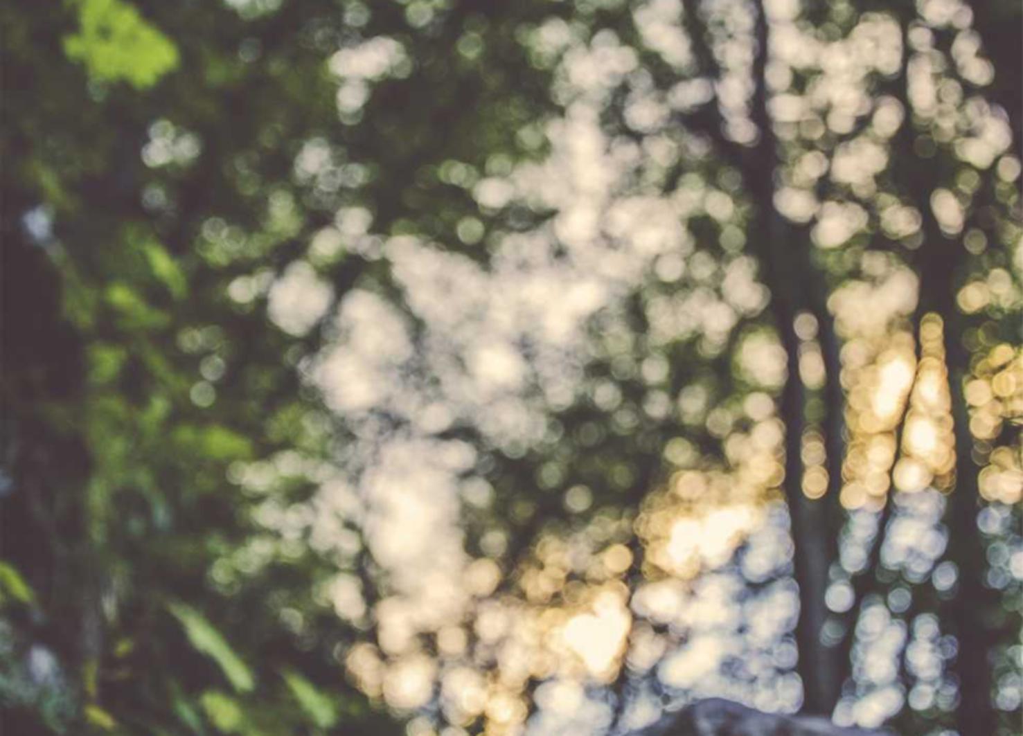 红桃娱乐,注册|详情下载教程纬来体育app