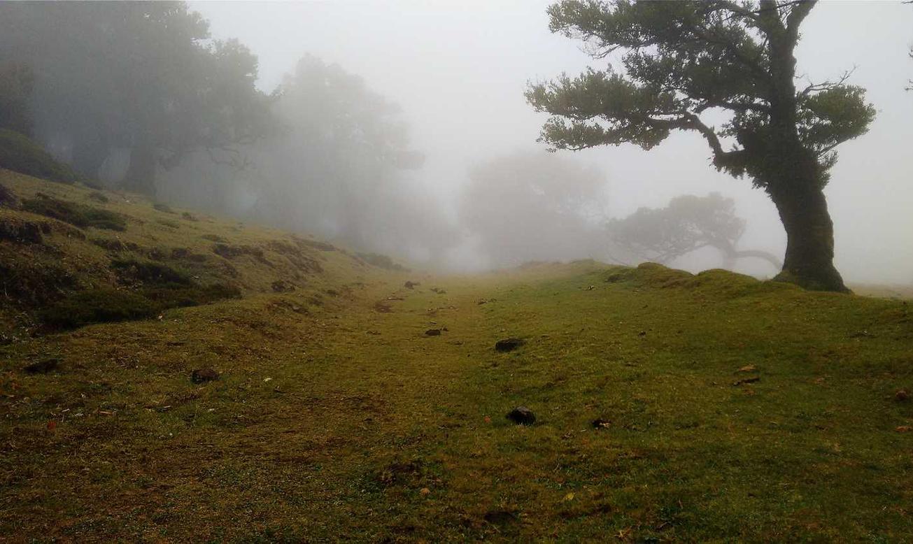 博悦娱乐,注册|如何利用客户洞察分析提高企业营销效果