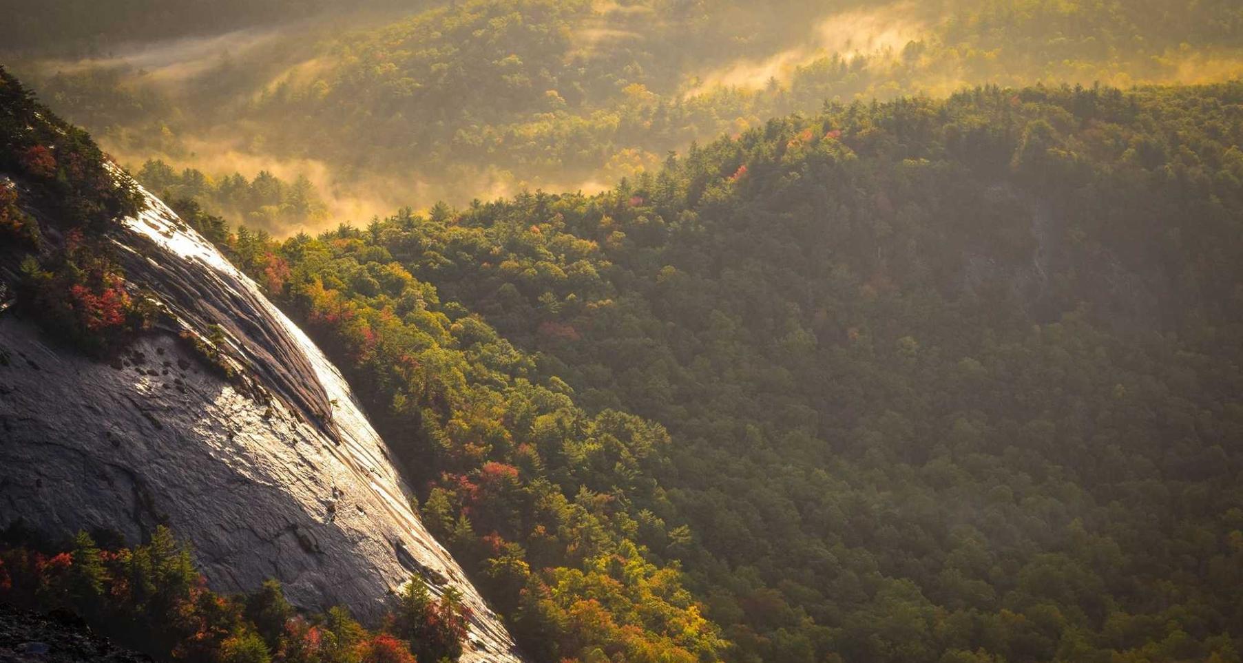 云立方ip实名账号:怎样详情下载教程唯品会app