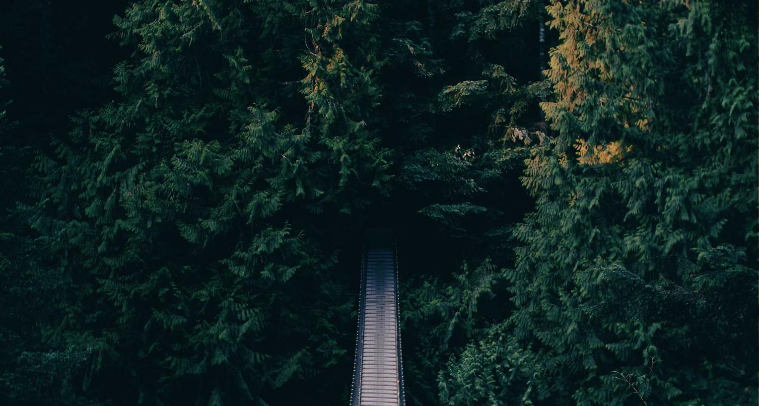 飞网ip推出代实名账号功能,保护用户隐私