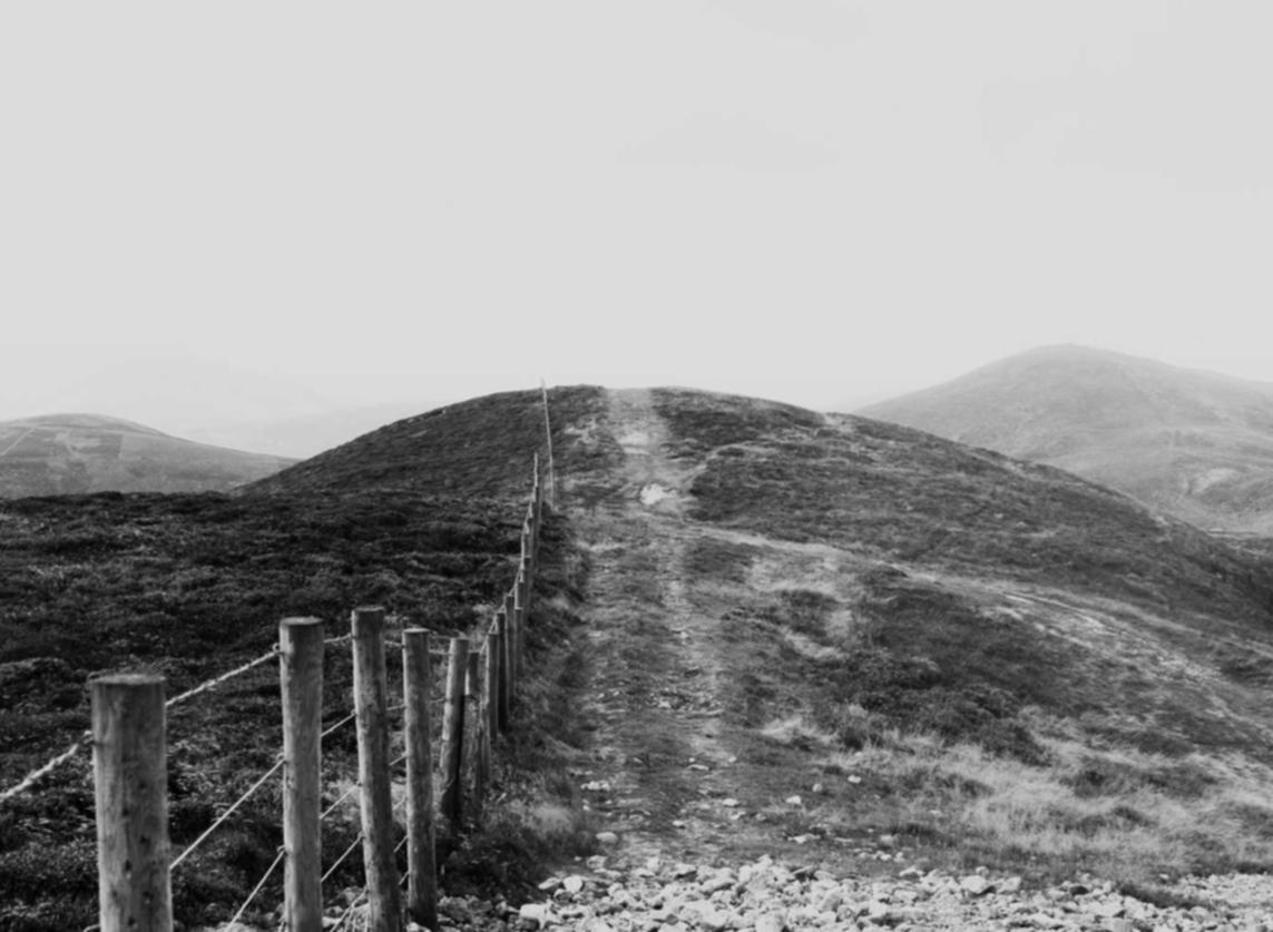 天狮娱乐,注册|杭州的公司注册代理