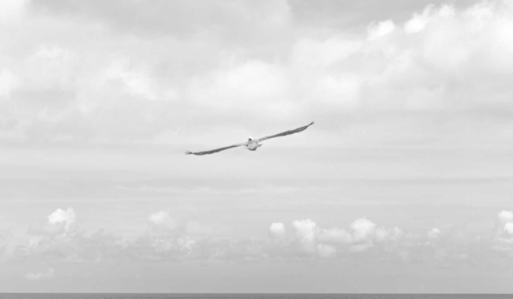 皇马娱乐,注册|网页注册qq账号