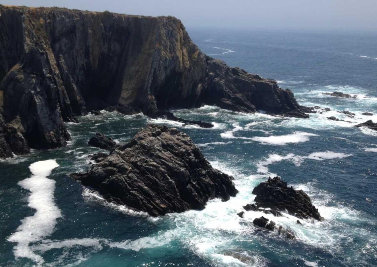 金洋5娱乐，注册|如何在企业营销中成功应用数据分析技术