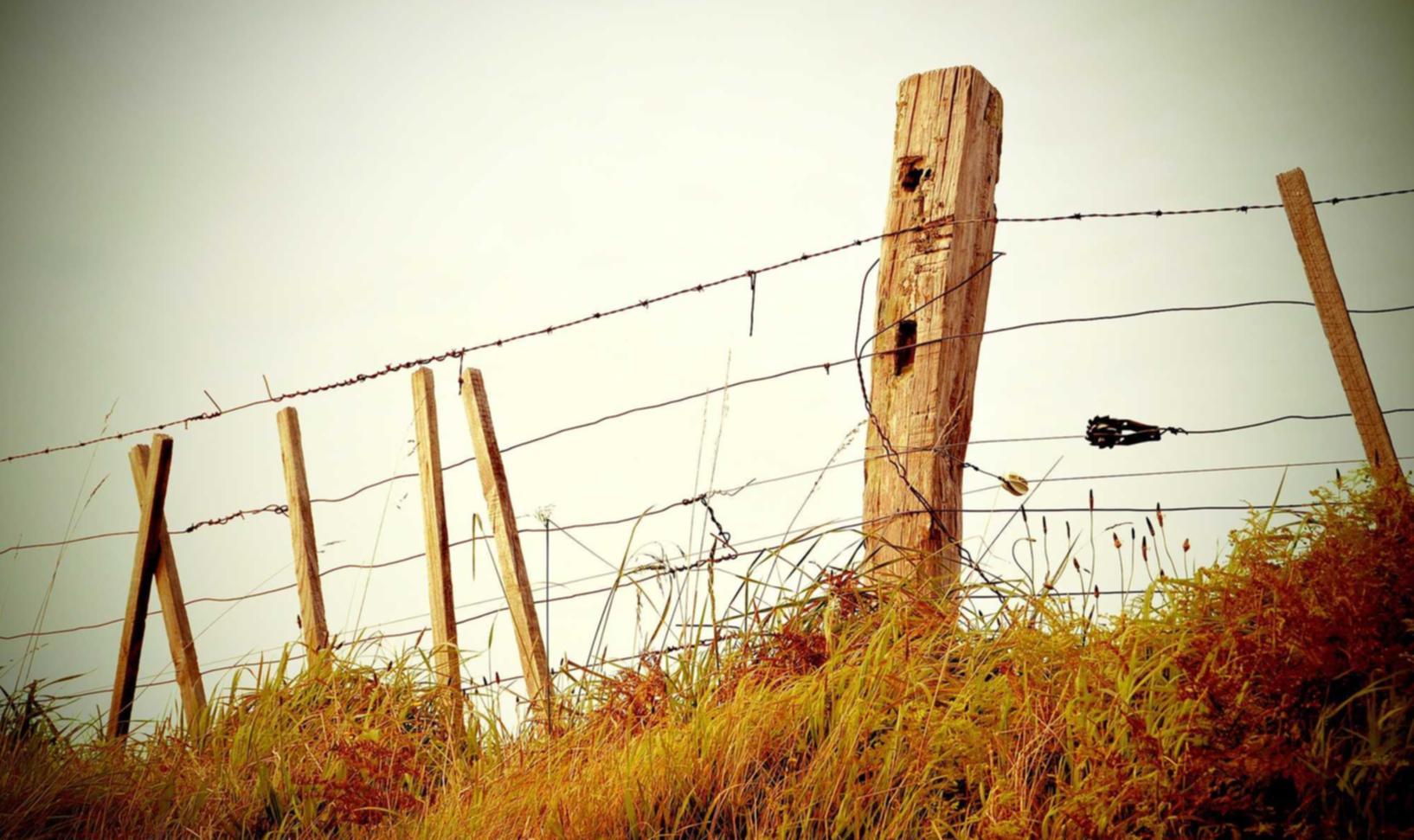 解读防DDOS洪水攻击- 龙虎榜app详情下载教程